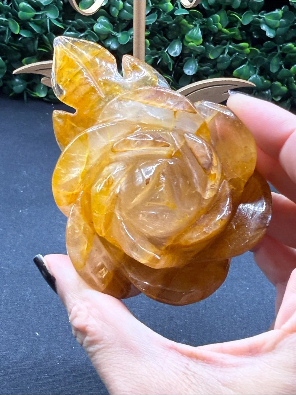 Beautiful Golden Healer Flower on Stand